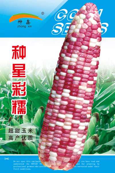 種星彩糯 種星彩糯