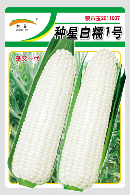 1655621272892617.jpg 種星白糯1號(hào)-大.jpg