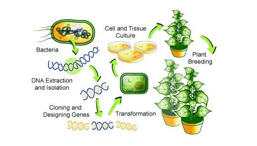 1655869818195170.jpg 2.jpg