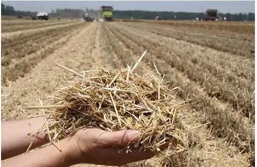 1655869919102851.jpg 3.jpg