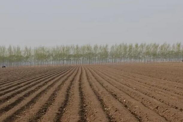 1655869991463921.jpg 4.jpg