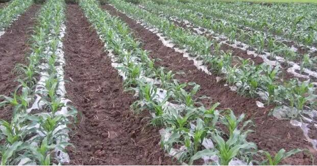 1655870103127643.jpg 6.jpg