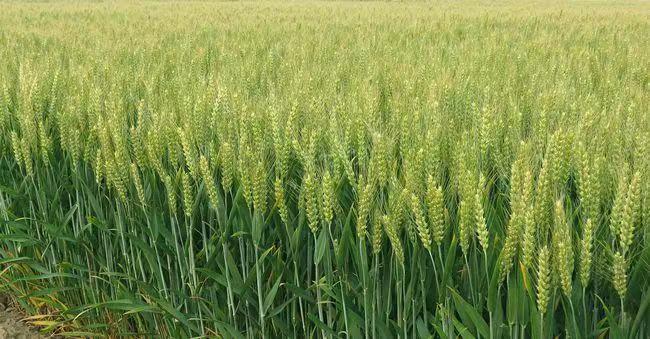 1656385758177622.jpg 微信圖片_202206280927081.jpg