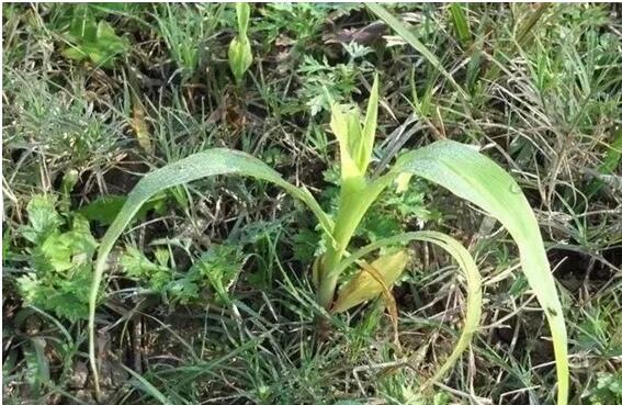 1656386216157422.jpg 10.jpg