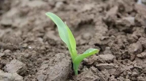 1656386238301349.jpg 11.jpg