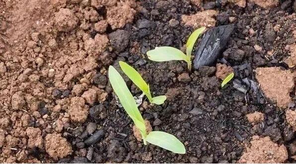 1656386288650760.jpg 13.jpg