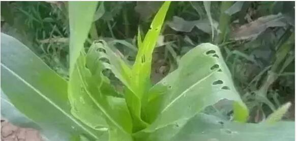 1656386306167701.jpg 14.jpg