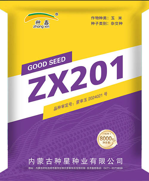 1733203210164243.jpg ZX 20101-500ok.jpg