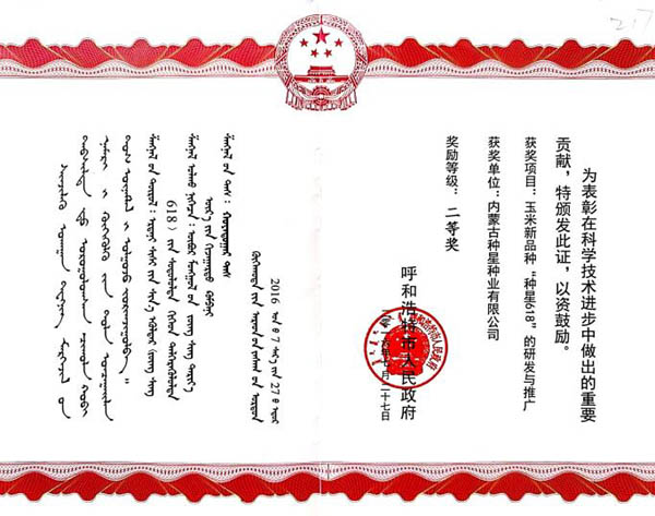 1654660908213333.jpg 8.jpg